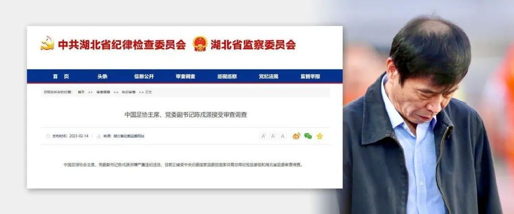 记者里卡多-特雷维萨尼表示：“弗拉霍维奇不是一个问题，而是一个解决方案。